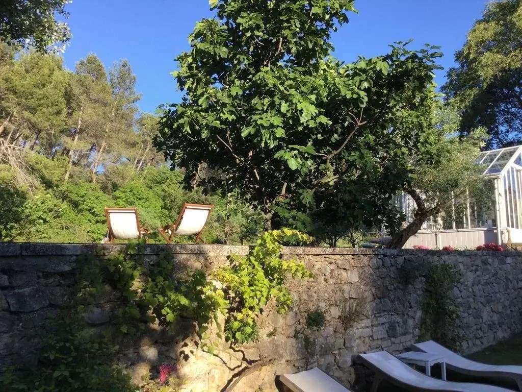 Mas de Rique - Photo 5