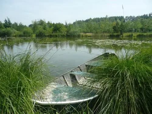 Camping Du Vivier Aux Carpes - Miniature 6