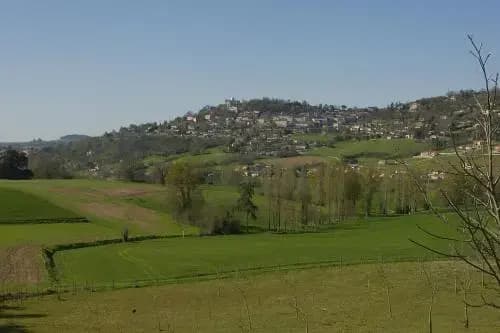 Norpech - Miniature 8