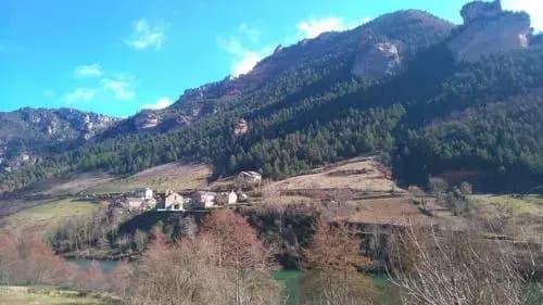 Le Grillon - Photo 4