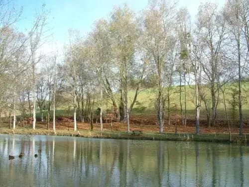 Domaine de Peyloubère - Miniature 6