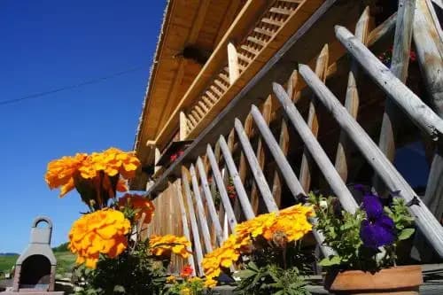 La Ferme d'Eugénie - Photo 5