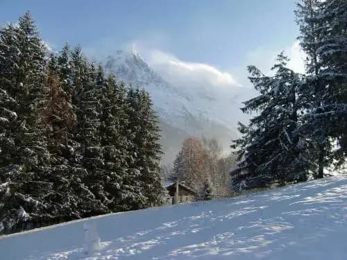 Studio Mont-Blanc - Miniature 6
