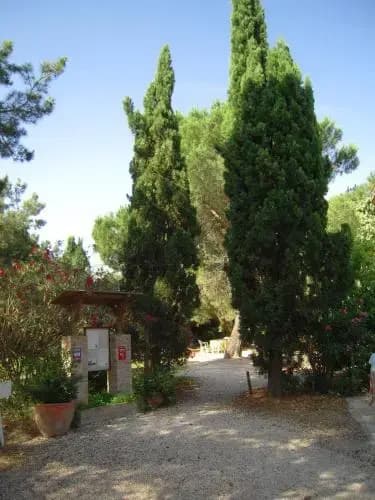 Manade Cavallini - Mas de Pioch - Photo 3