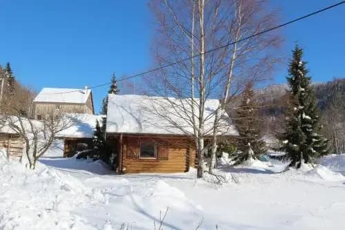 Chalet Individuel en Rondins Vologne 2 Chambres - Miniature 7