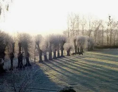 Manoir d'Hermos - Photo 2