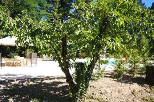 Domaine de la Garde - Photo 5