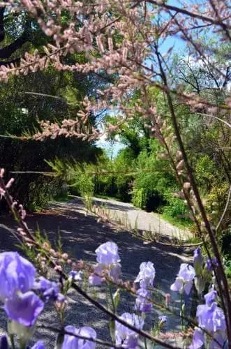 Domaine de la Coronne *** - Miniature 8
