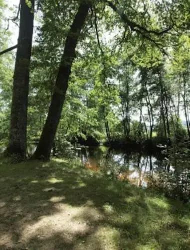 Le Relais de la Diligence - Photo 2