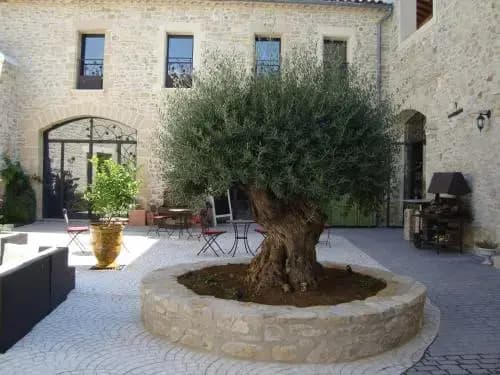 L'Escampe - Photo 4