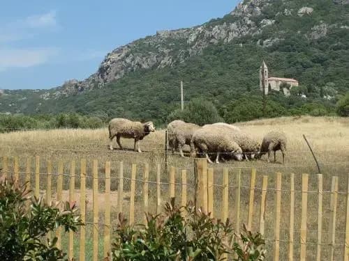 Clos Simoni - Photo 3