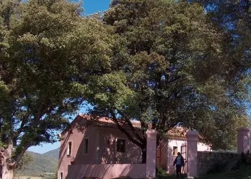 Campo Longo - Photo 5