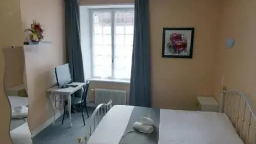 Hôtel Duguesclin - Photo 2