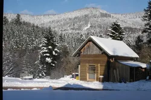 À L'Orée du Bois - Photo 2