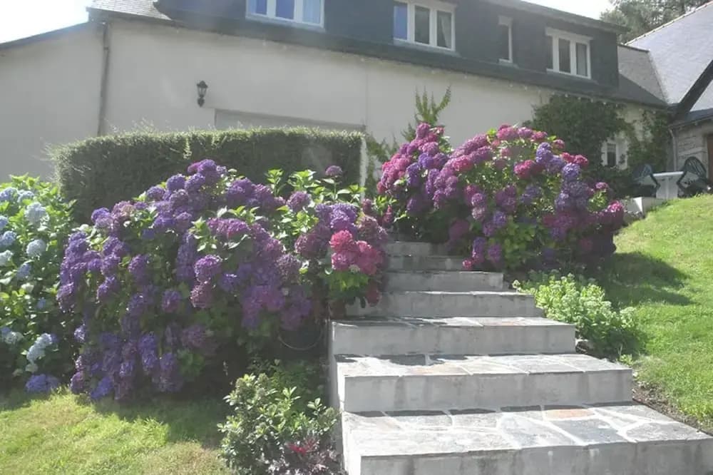 Les Etangs de Pitié - Photo 1