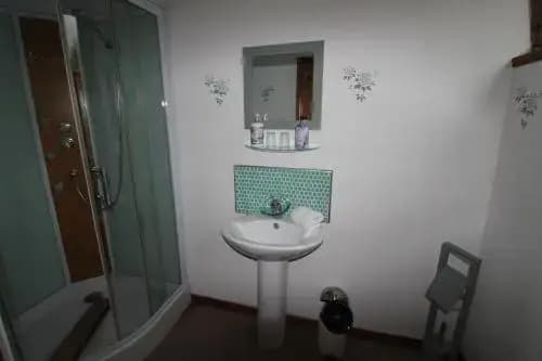 La Petite Jeusseliniere - Photo 5