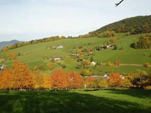 Gîte Henry - Photo 3