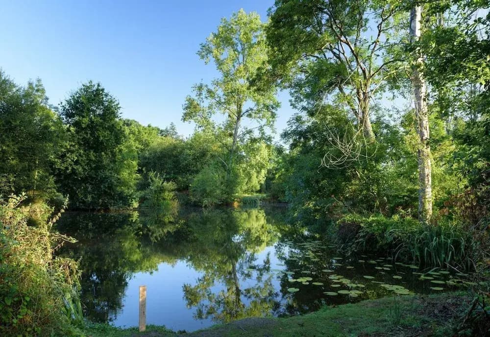 Rives Nature - Photo 4