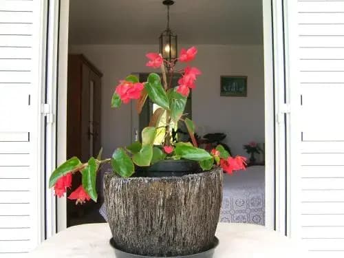 Holiday Home La Caverne Des Hirondelles - Miniature 6
