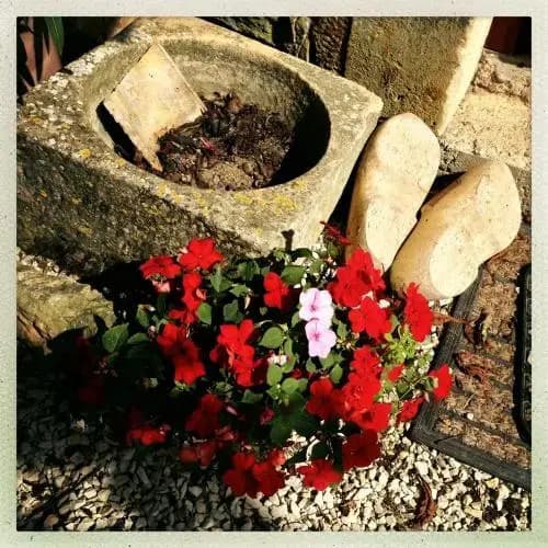 La Grosse Talle - Photo 3