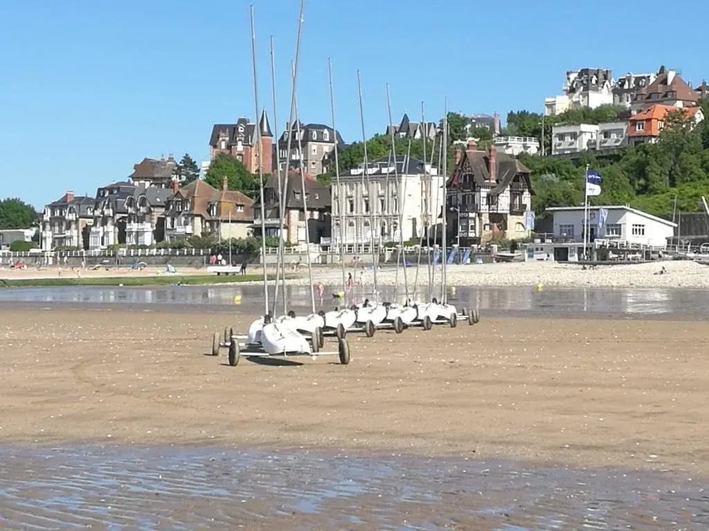 Les Althéas - Miniature 8