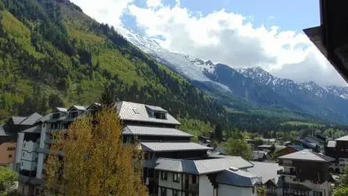 Chamonix Sud Jonquille - Miniature 8