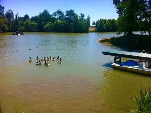 Le Domaine de Charlyne - Photo 4