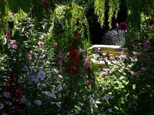 Jardin la Bourdonnière - Photo 1