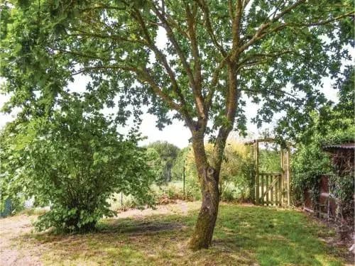 Holiday home Jugon les Lacs N-681 - Miniature 6