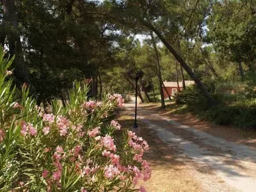 Villas Roque Blanc en Provence - Miniature 7