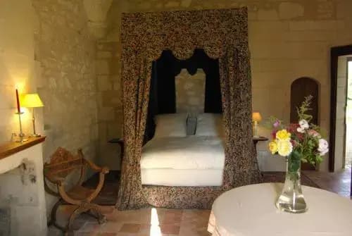 Château de Veuil - Photo 4