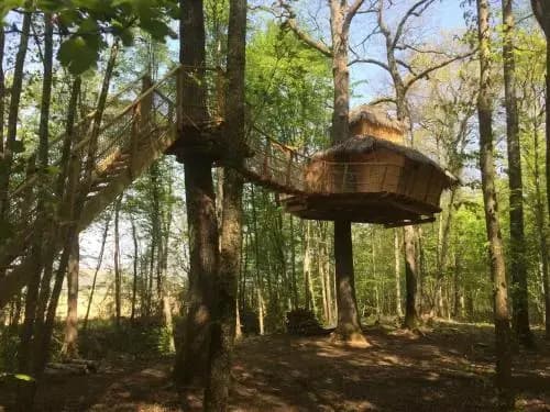 Les Cabanes au Bois d'Orient - Photo 4