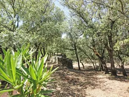 La Chênaie De Gordes - Photo 5