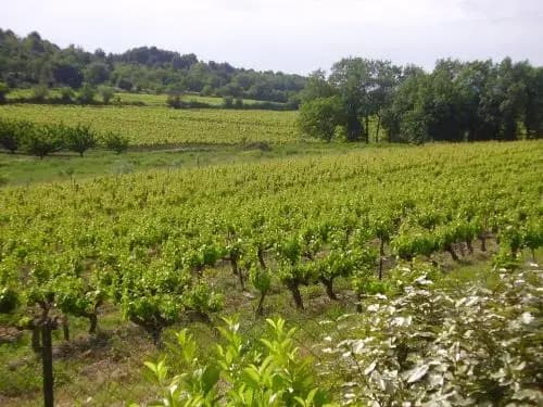 A Cappella - Photo 2