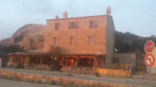 L'oasis du Lion - Photo 5