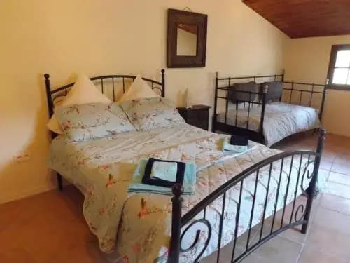 Le Petit Chateau - Photo 1