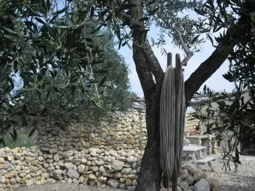 Mas des 4 Vents - Miniature 7