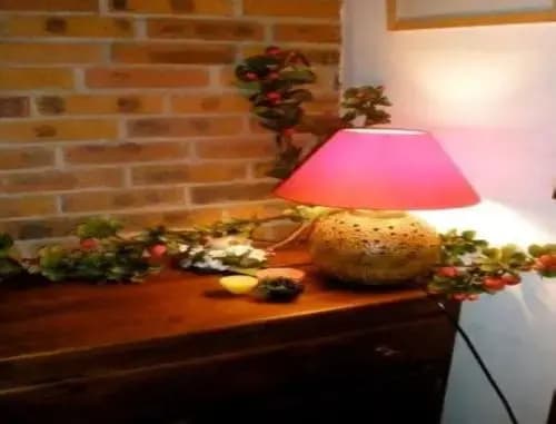 La Coraline - Photo 2