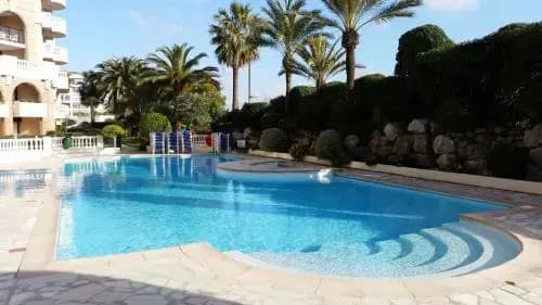 Palme d'Azur - Miniature 7