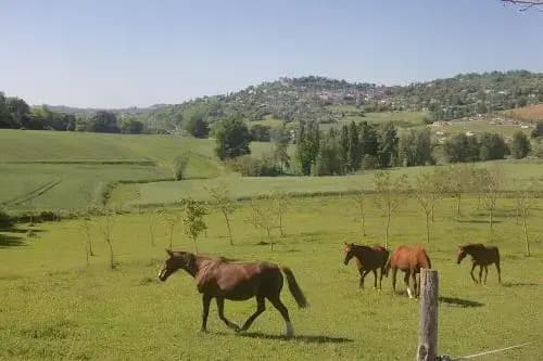 Norpech - Photo 3