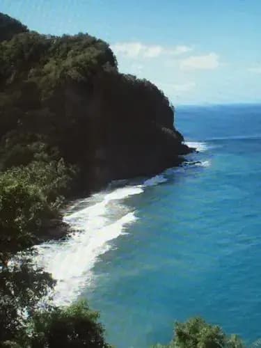 CARRIBBEAN Studio Madicreole au Carbet - Photo 2