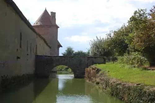 Château du Riau - Photo 5