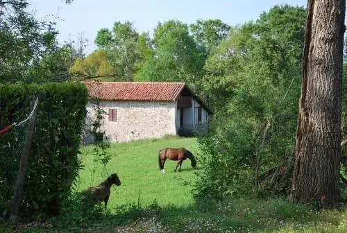 Camping Bixta Eder - Miniature 7