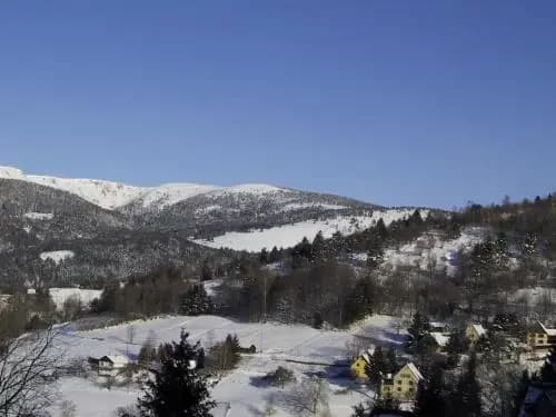Le Londenbach - Photo 5