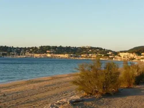 Hôtel Cavalaire Les Eucalyptus - Photo 4