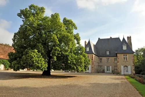Château du Riau - Photo 4