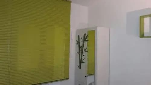 Palme d'Azur - Photo 1