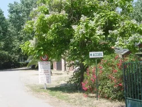 Camping Benista - Miniature 6