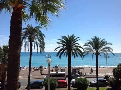Le Grand Sud - Miniature 8
