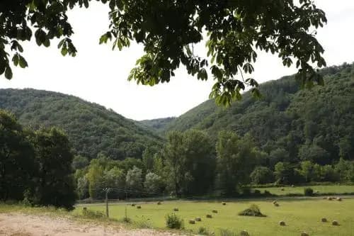 Maison hôtes Pacelian - Photo 5